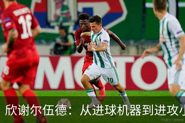 欣谢尔伍德：从进球机器到进攻小白！谦逊教会我们珍贵一课